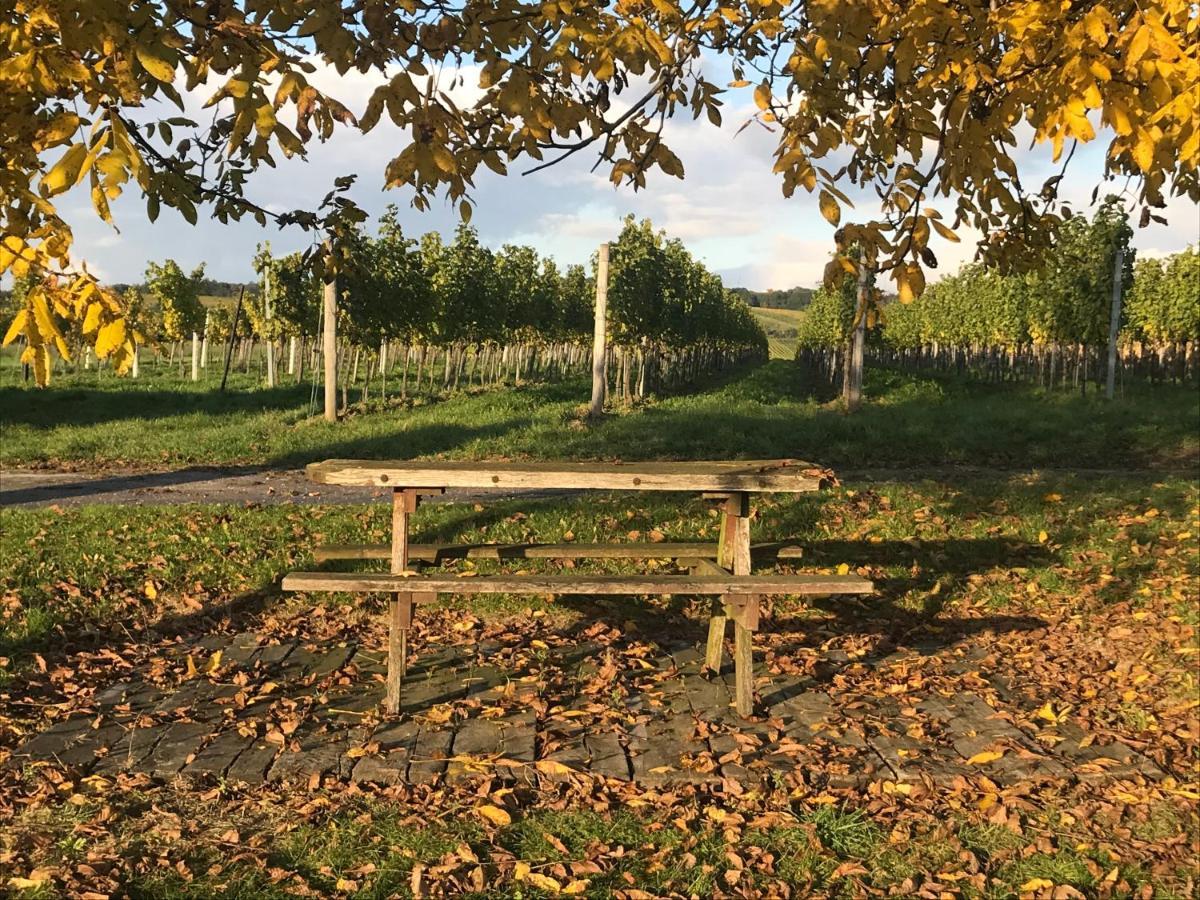 Weingut&Gästezimmer Edelmann Göttlesbrunn Exterior foto