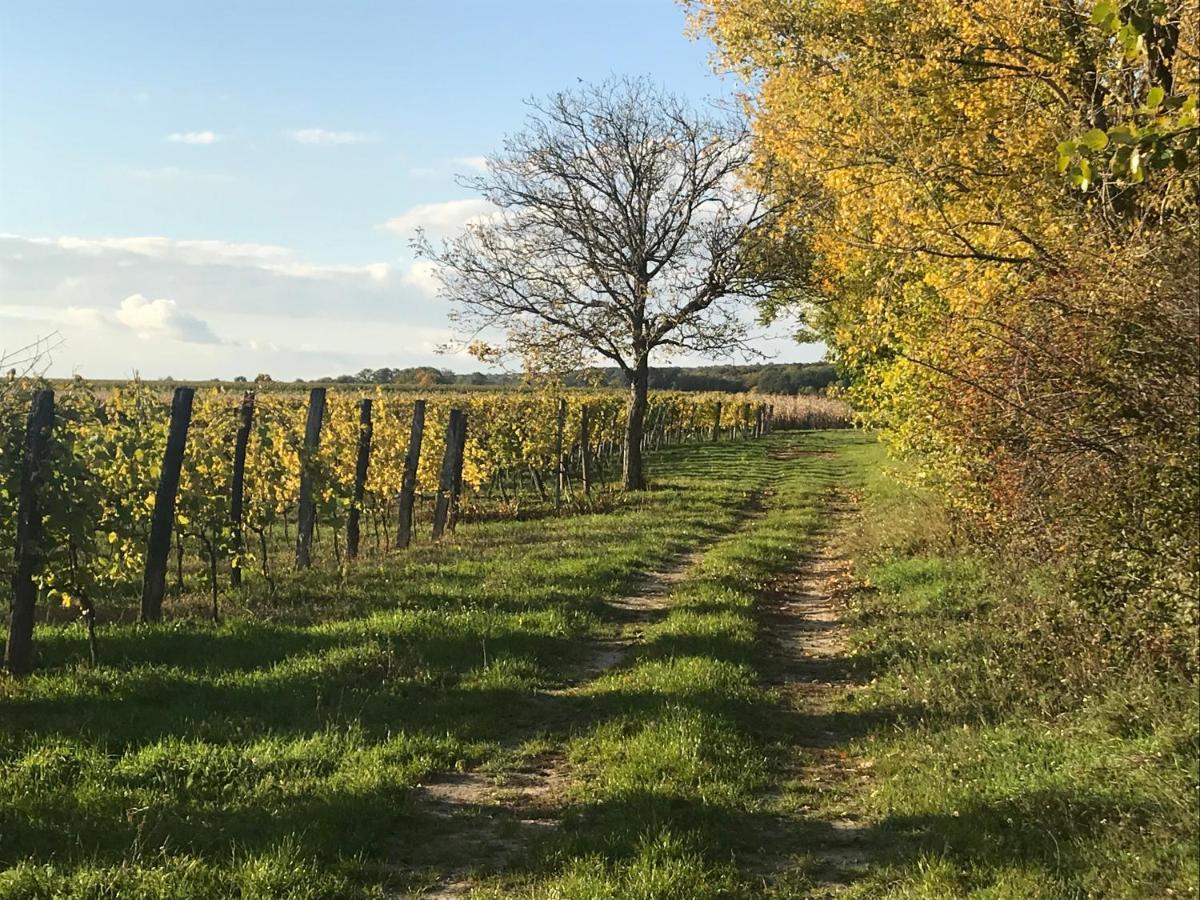Weingut&Gästezimmer Edelmann Göttlesbrunn Exterior foto